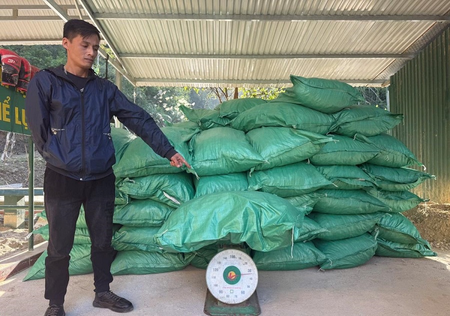 Cao Bằng bắt giữ 2 vụ vận chuyển hơn 1,7 tấn cau khô không rõ nguồn gốc