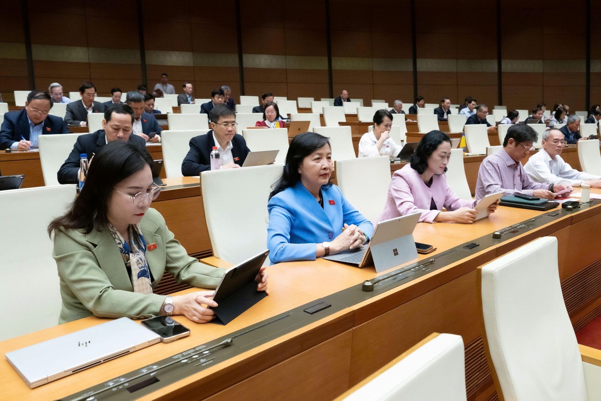 Đại biểu tham gia Phiên họp