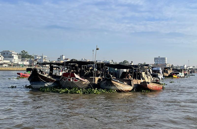 Đồng bằng sông Cửu Long: Vùng đất ấn tượng hấp dẫn du khách