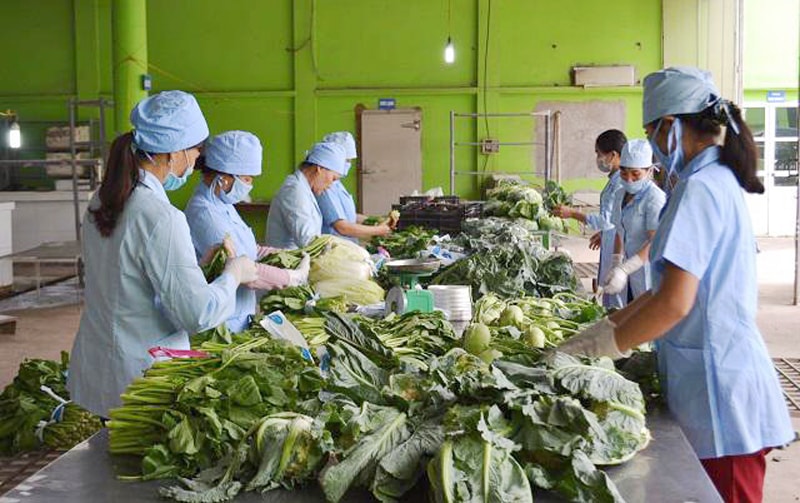 Xuất khẩu nông sản sang Nhật Bản: Doanh nghiệp cần chủ động tháo gỡ rào cản