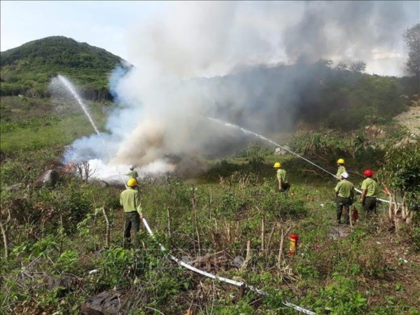 TP. HCM thành lập Hạt Kiểm lâm rừng đặc dụng Vườn Quốc gia Côn Đảo