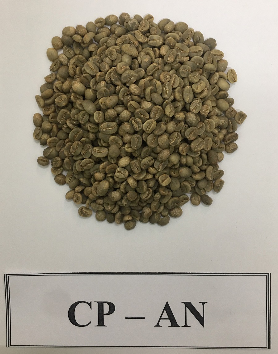 Cà phê nhân Mường Ảng