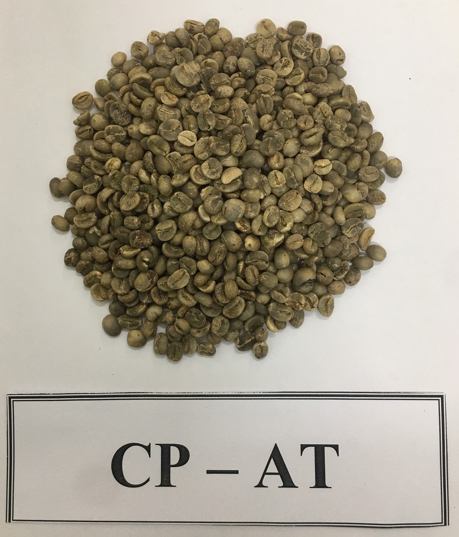 Cà phê nhân Mường Ảng