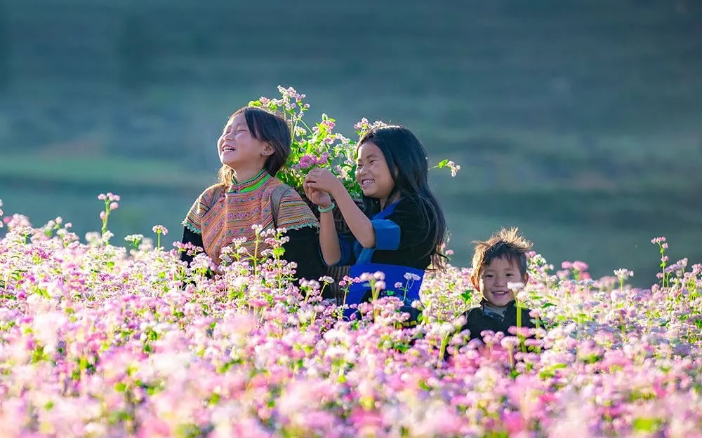 Chi cục Quản lý thị trường tỉnh Tuyên Quang vừa triển khai kế hoạch chuyên đề kiểm tra, kiểm soát thị trường nhằm phục vụ Lễ hội hoa Tam giác mạch lần thứ XI, kéo dài đến hết tháng 12/2025