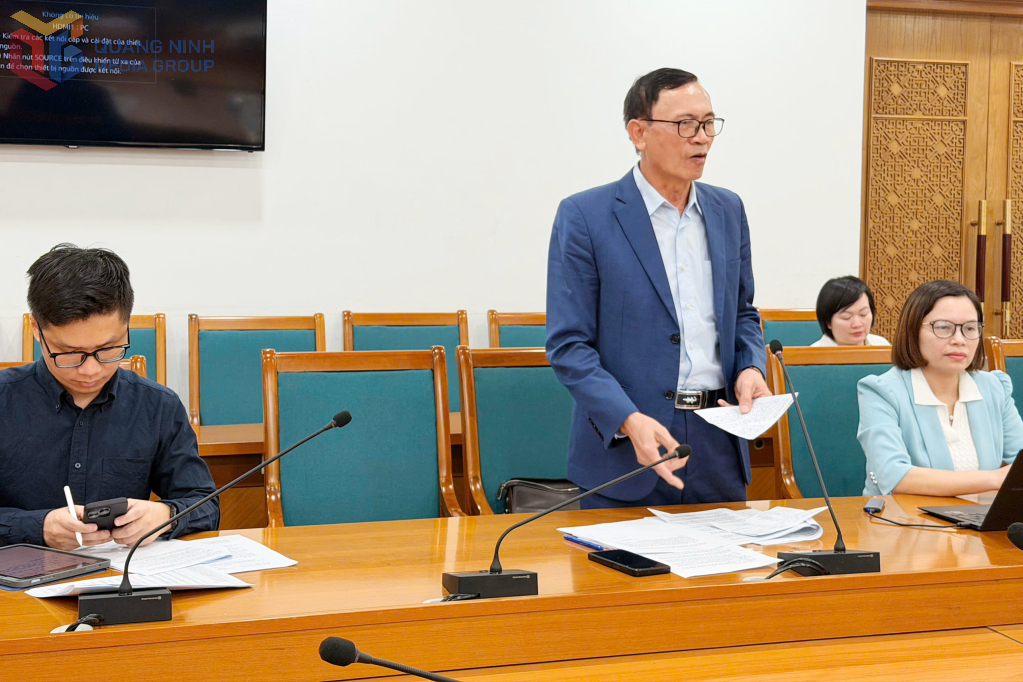 Đại diện Hội Bảo trợ người khuyết tật và trẻ mồ côi tỉnh phát biểu tại cuộc họp.