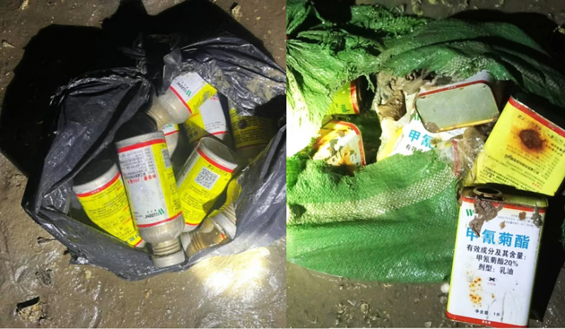 Quảng Ninh: Xuất hiện hóa chất lạ, khiến hàng loạt thủy sản bị tận diệt