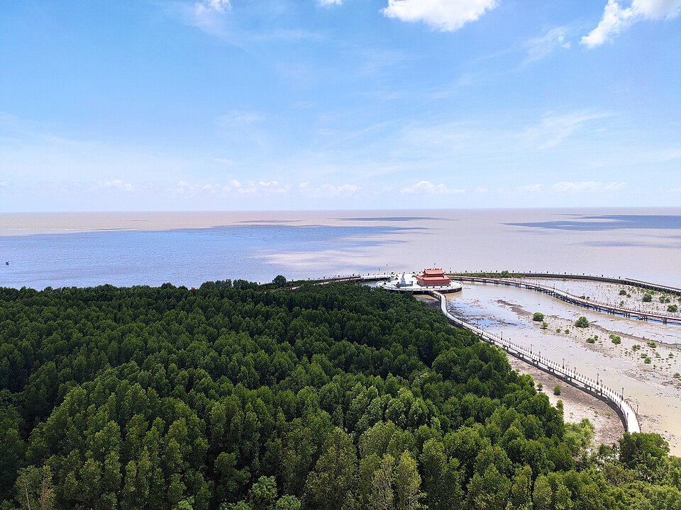 Mũi Cà Mau nhìn từ trên cao