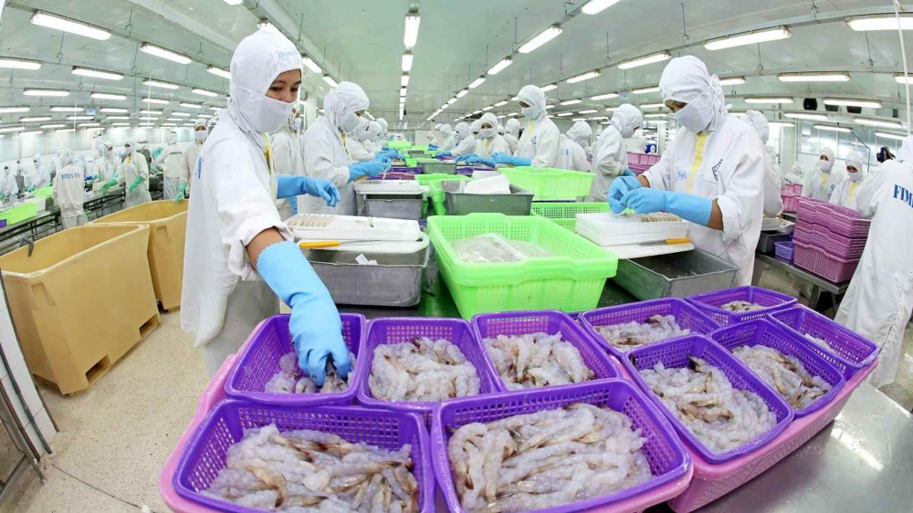 Doanh thu tháng 11/2025 của Sao Ta (FMC) bất ngờ quay đầu giảm 12%, chỉ đạt 16,16 triệu USD. (Ảnh minh họa)