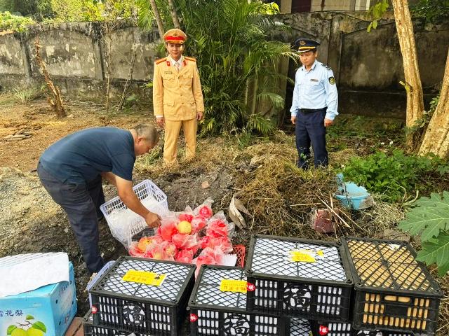 Nghệ An: Tiêu hủy 180 kg hoa quả nhập lậu không rõ nguồn gốc