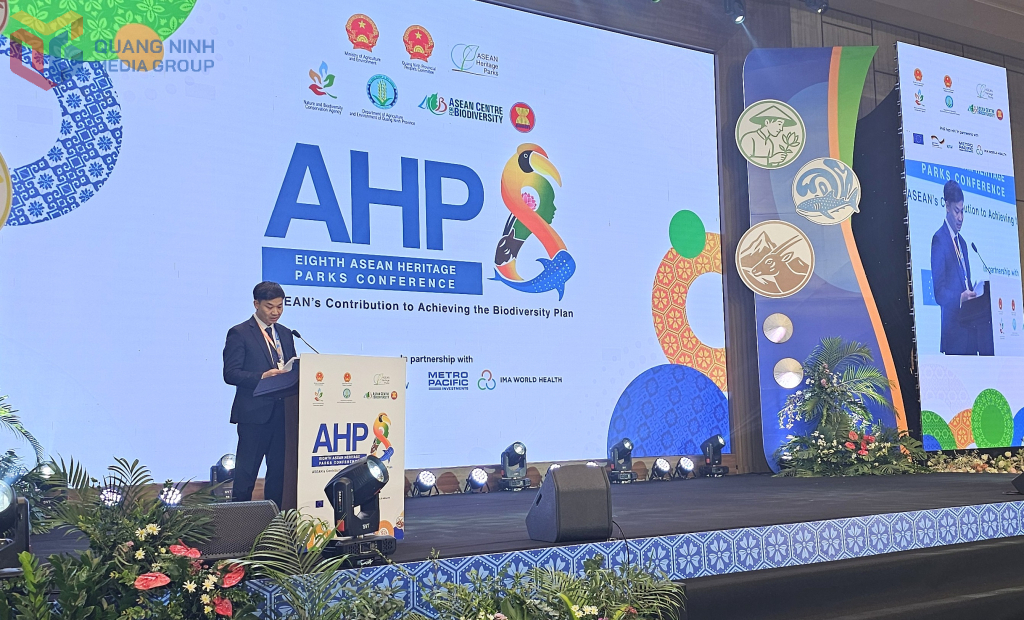 Ph&oacute; Chủ tịch UBND tỉnh Quảng Ninh Nguyễn Văn C&ocirc;ng ph&aacute;t biểu tại hội nghị.