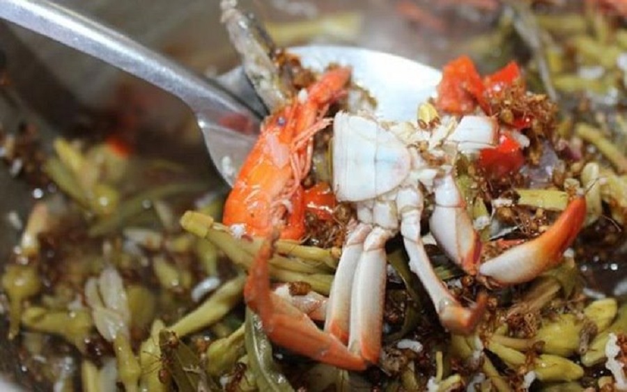 Canh chua kiến vàng, đặc sản trứ danh của người Ê Đê