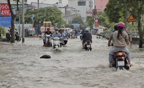 TP. HCM chủ động triển khai các biện pháp phòng, chống, ứng phó đợt triều cường
