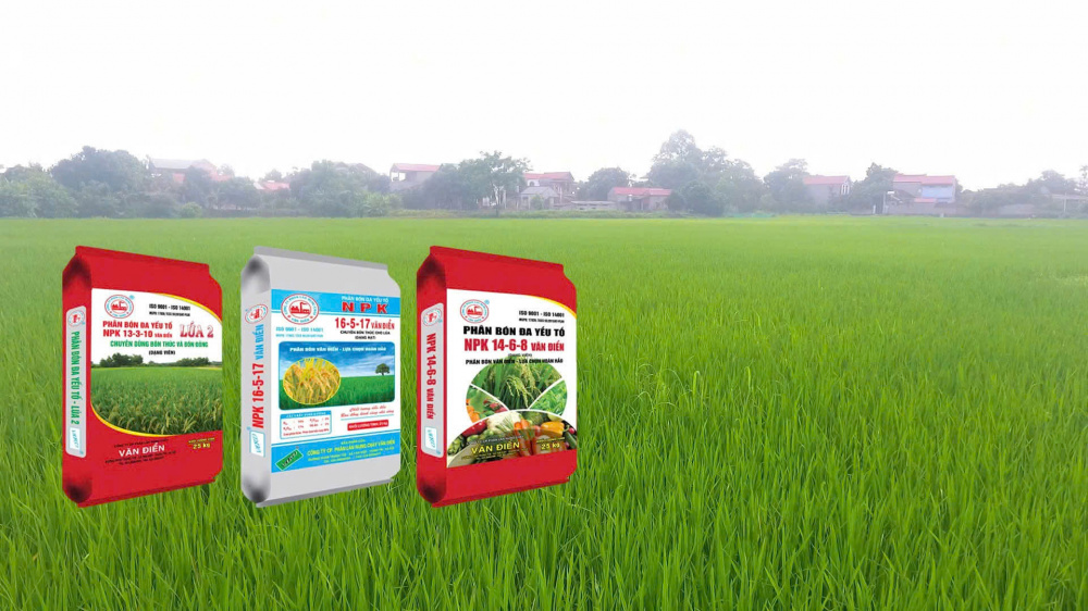 Vụ đông: Thời điểm vàng để cải tạo đất với phân lân Văn Điển