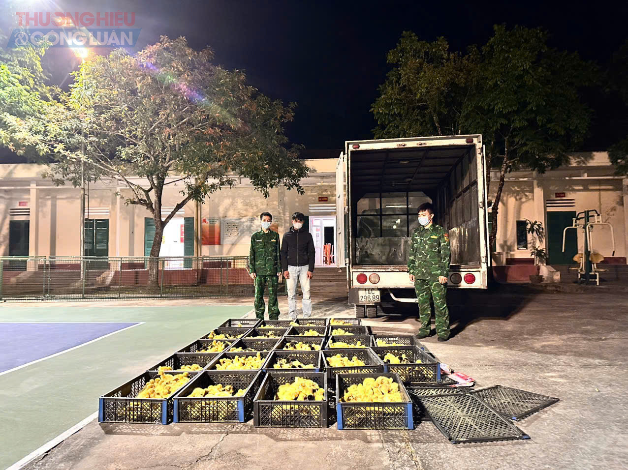 Chặn đứng chuyến xe chở 2.200 con vịt giống không rõ nguồn gốc giữa đêm ở Pẹc Nả