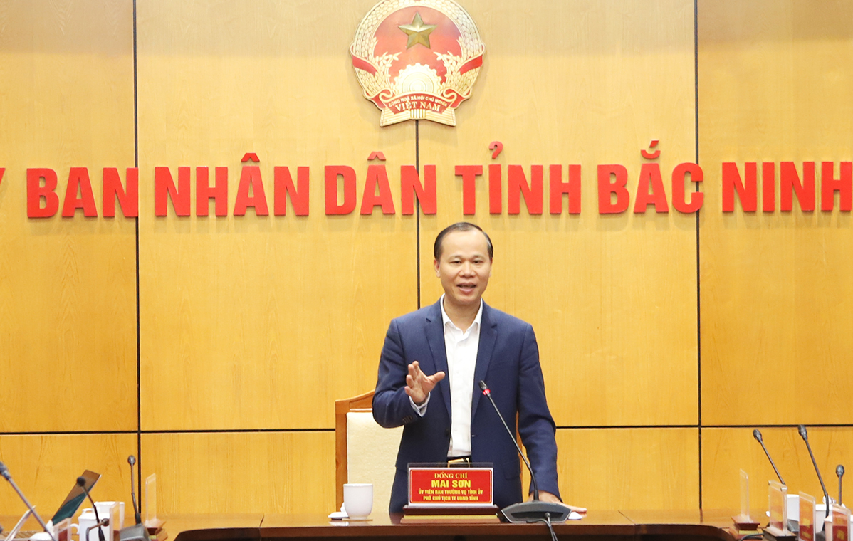 Đồng chí Mai Sơn, Phó Chủ tịch Thường trực UBND tỉnh kết luận buổi làm việc