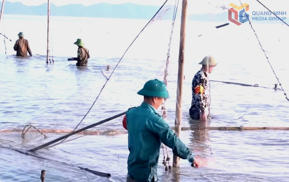 Quảng Ninh siết chặt thực thi pháp luật thủy sản