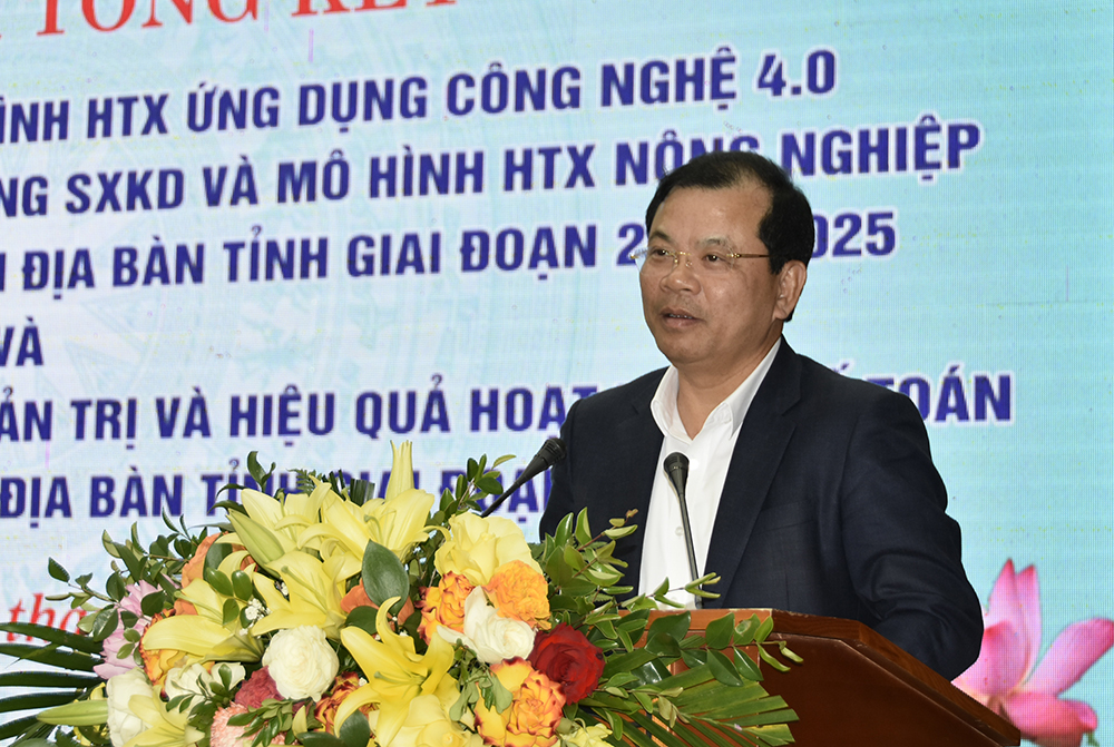 Đồng chí Phan Thế Tuấn phát biểu chỉ đạo hội nghị.