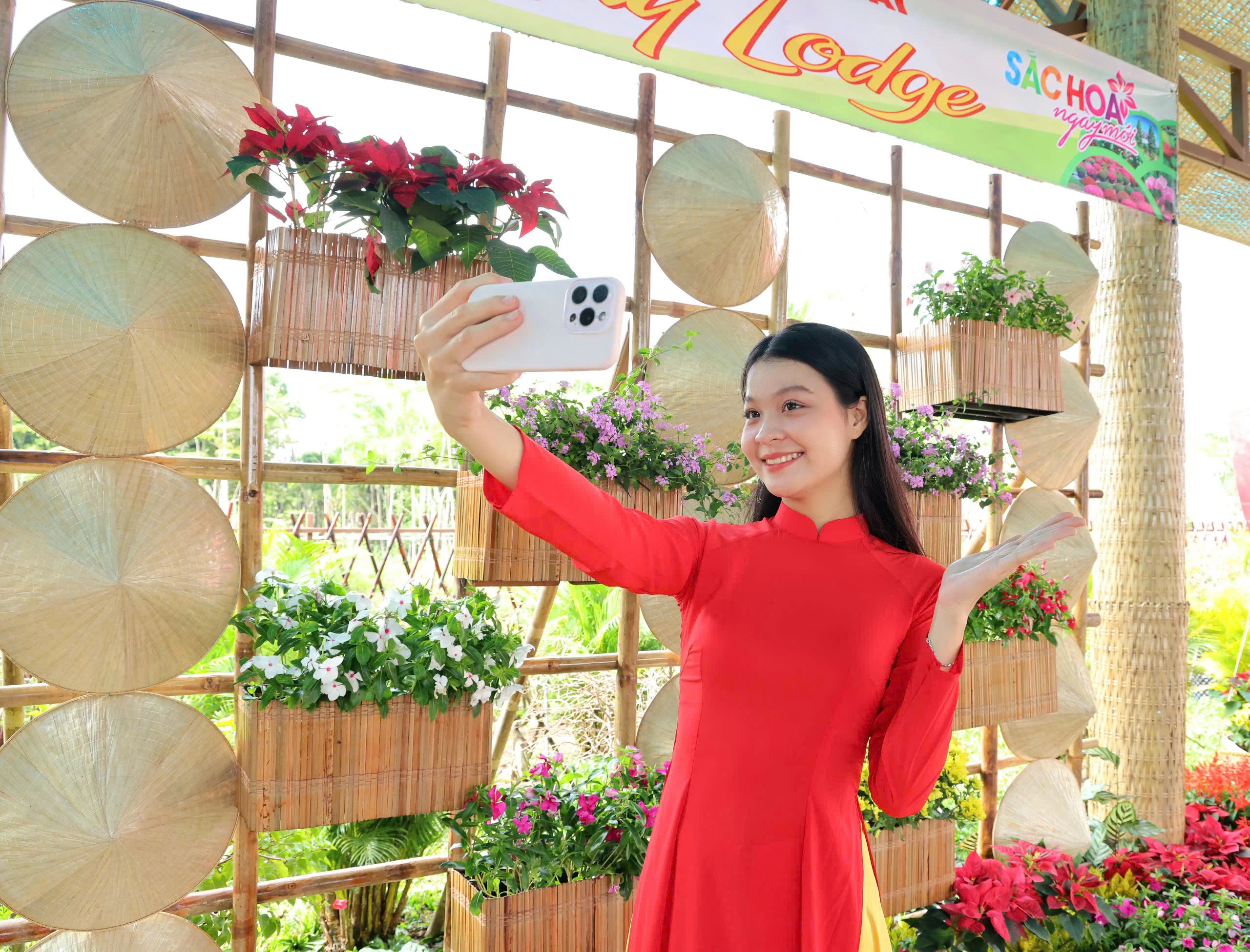 Festival Hoa - Kiểng Sa Đéc 2025: Sẽ trưng bày 1.000 giống hoa, mở không gian “Miền di sản”