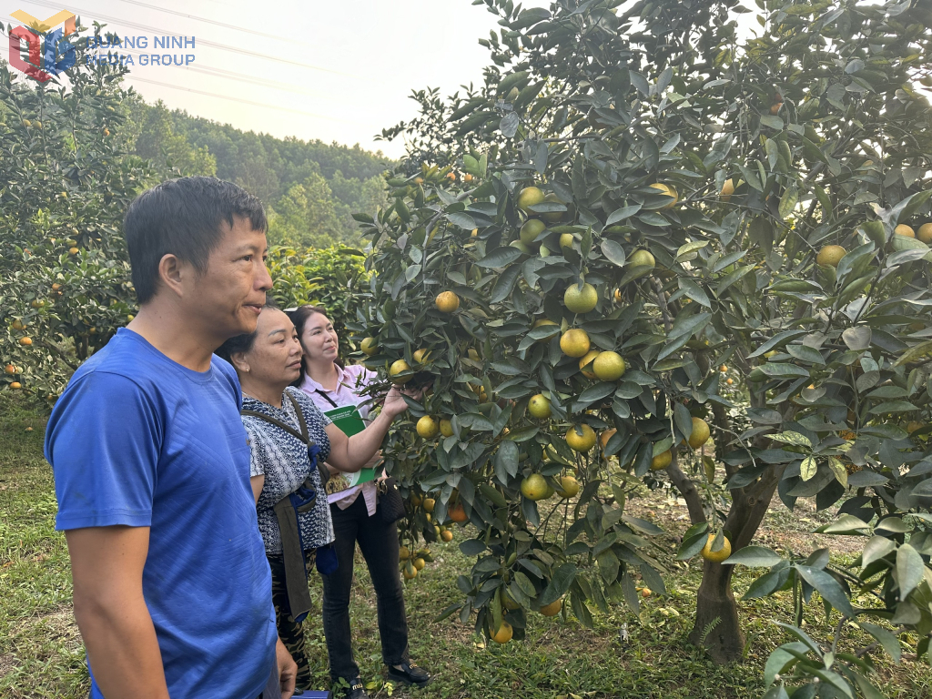 Quảng Ninh không còn hộ nghèo theo chuẩn nghèo tiếp cận đa chiều