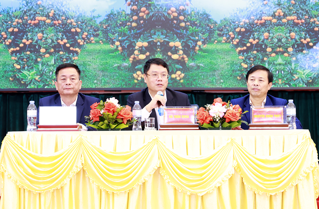 Các đồng chí lãnh đạo Sở Văn hóa, Thể thao và Du lịch chủ trì hội nghị Các đồng chí lãnh đạo Sở Văn hóa, Thể thao và Du lịch chủ trì hội nghị