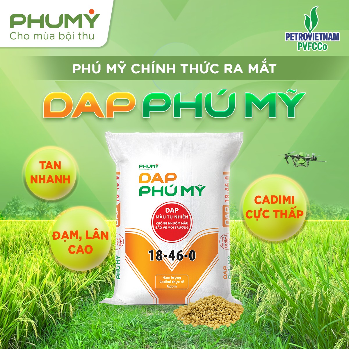 Giới thiệu DAP Phú Mỹ Giới thiệu DAP Phú Mỹ