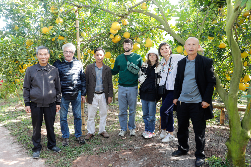 Du khách Cộng hòa Pháp thăm vườn bưởi của hộ anh Nguyễn Văn Hữu, tổ dân phố Xẻ Cũ, phường Chũ.