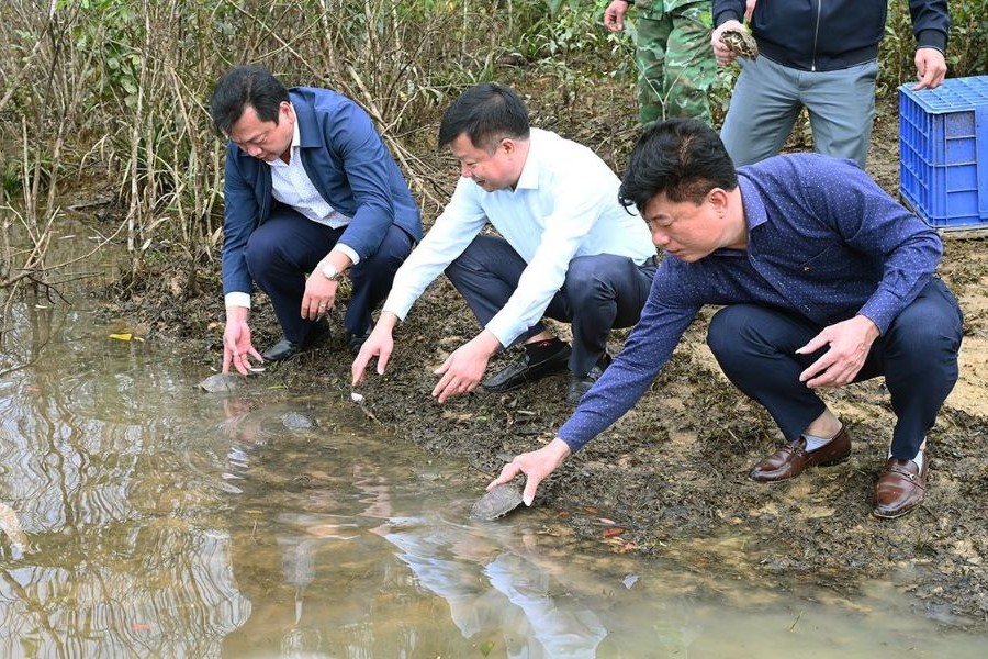 Các đại biểu thả động vật hoang dã, quý hiếm về rừng tự nhiên Vườn Quốc gia Vũ Quang. Các đại biểu thả động vật hoang dã, quý hiếm về rừng tự nhiên Vườn Quốc gia Vũ Quang.