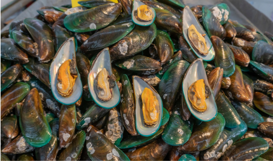 Sản phẩm chứa dầu vẹm xanh giúp cải thiện triệu chứng gai đốt sống hiệu quả