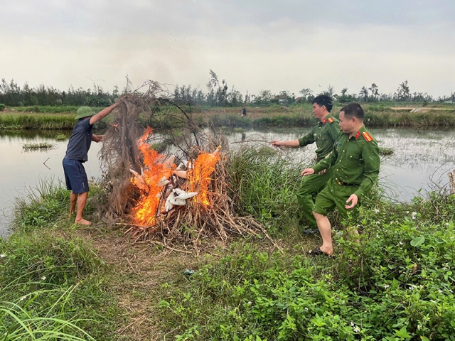 Lực lượng chức năng Nghệ An đốt lưới bẫy, phá lán trại, trả tự do cho hàng trăm chim mồi. Lực lượng chức năng Nghệ An đốt lưới bẫy, phá lán trại, trả tự do cho hàng trăm chim mồi.