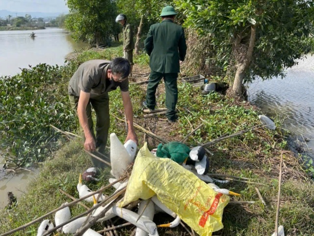 Công an Nghệ An truy quét quy mô lớn, dẹp “điểm nóng” săn chim ven biển Nghệ An. Công an Nghệ An truy quét quy mô lớn, dẹp “điểm nóng” săn chim ven biển Nghệ An.