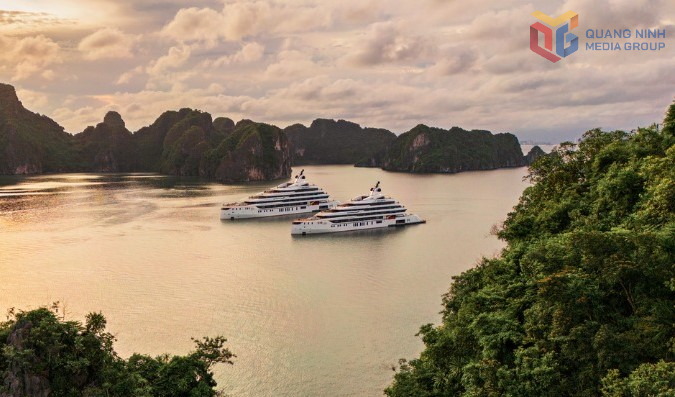 Quảng Ninh có hãng du thuyền 2 năm liên tiếp được World Cruise Awards vinh danh