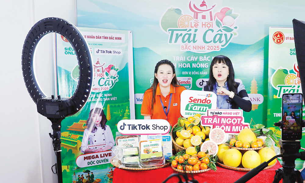 Hoạt động livestream bán hàng tại Lễ hội. Hoạt động livestream bán hàng tại Lễ hội.