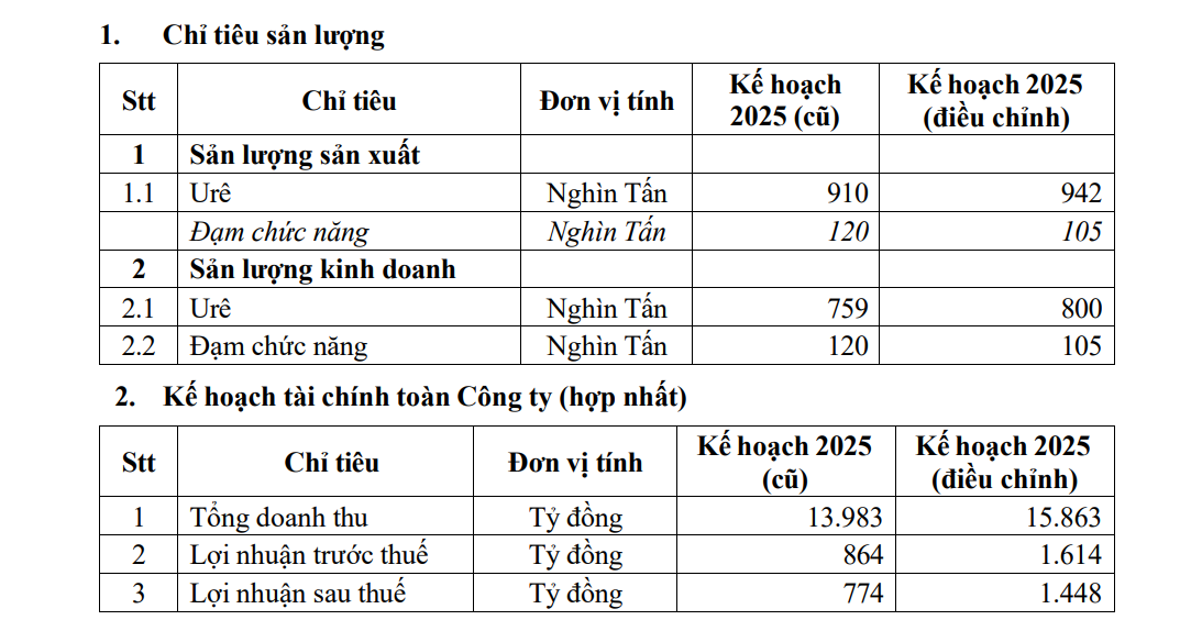 Đạm Cà Mau nâng kế hoạch lợi nhuận năm 2025 lên gần gấp đôi