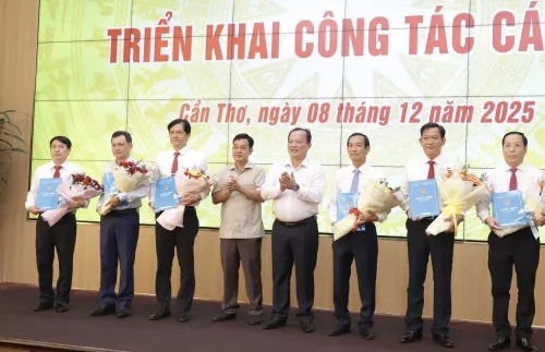 Cần Thơ tổ chức hội nghị công bố quyết định về công tác cán bộ