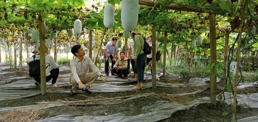 Về kinh tế, HTX, LHHTX, THT tiếp tục chứng tỏ vai trò nâng cao hiệu quả kinh tế cho các hộ thành viên Về kinh tế, HTX, LHHTX, THT tiếp tục chứng tỏ vai trò nâng cao hiệu quả kinh tế cho các hộ thành viên