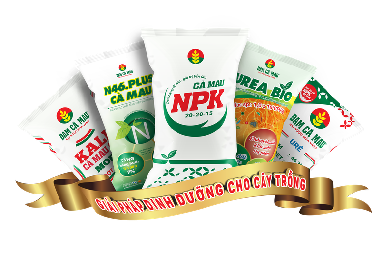 DCM điều chỉnh kế hoạch, tăng mạnh mục tiêu lợi nhuận thêm 88%