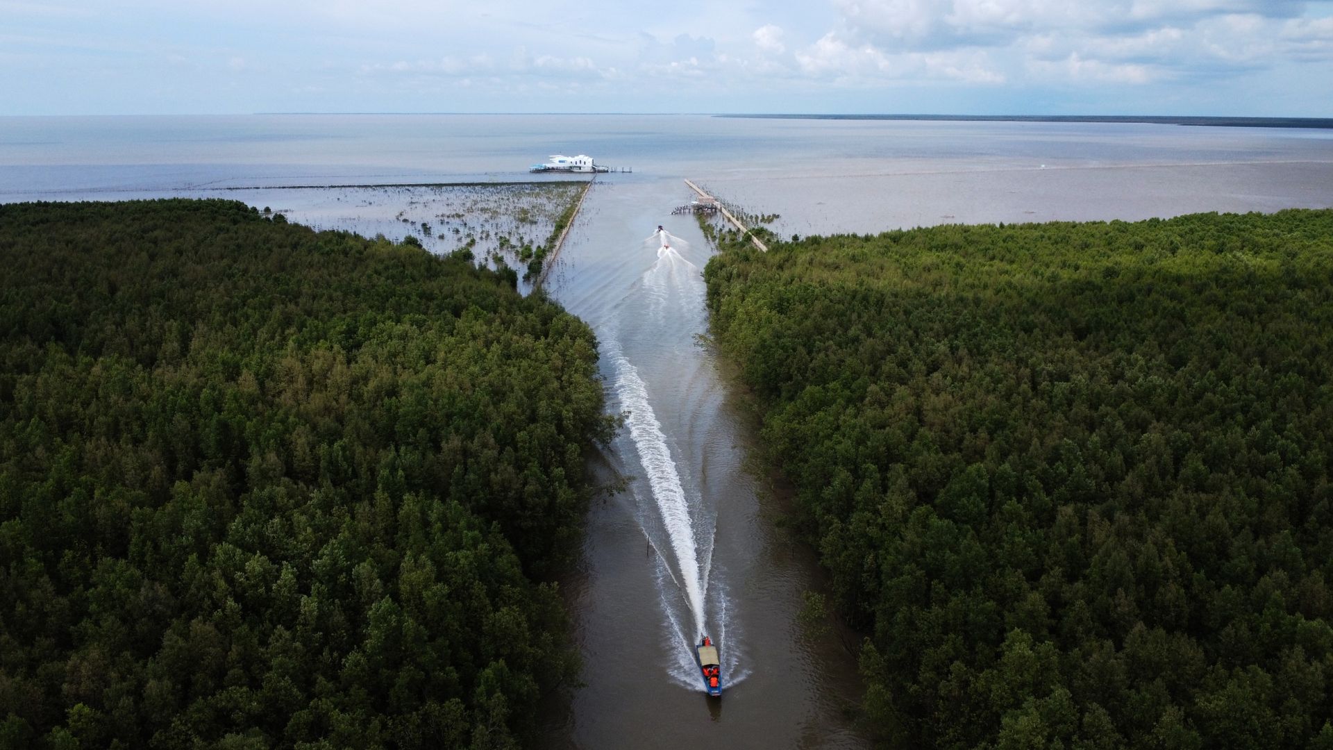 Hơn 2.630 tỷ đồng đầu tư cho các dự án bảo vệ “lá chắn xanh” vùng ven biển