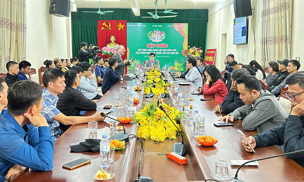 Quang cảnh hội thảo. Quang cảnh hội thảo.