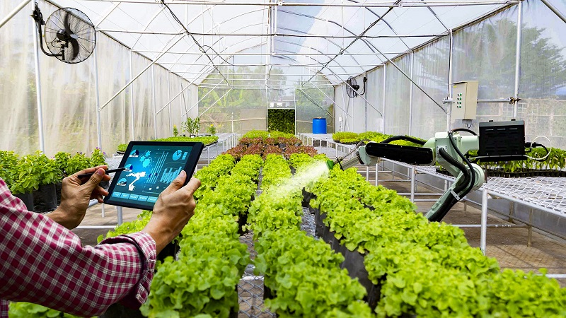 Một điểm nhấn quan trọng của chương trình giai đoạn 2021-2025 là chuyển đổi số trong xây dựng nông thôn mới. Ảnh minh họa Một điểm nhấn quan trọng của chương trình giai đoạn 2021-2025 là chuyển đổi số trong xây dựng nông thôn mới. Ảnh minh họa