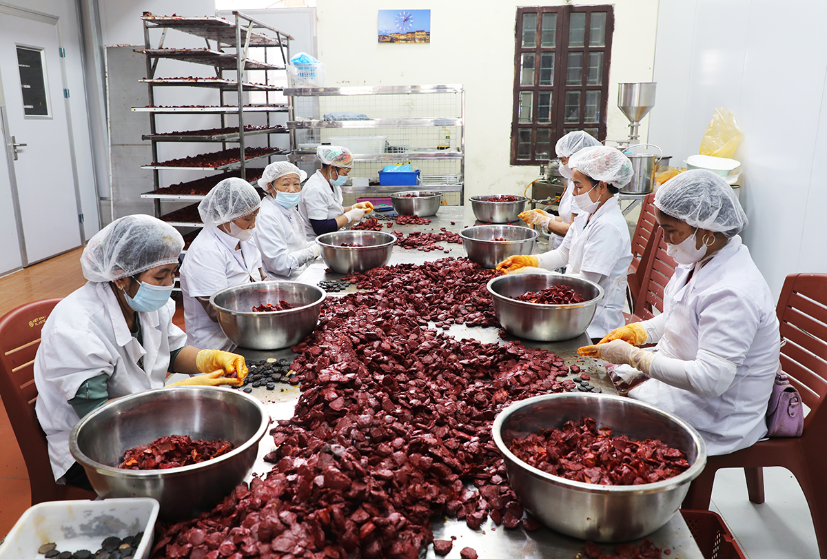 Bắc Ninh: Hơn 175.000 hội viên nông dân đạt danh hiệu “Nông dân sản xuất kinh doanh giỏi” các cấp