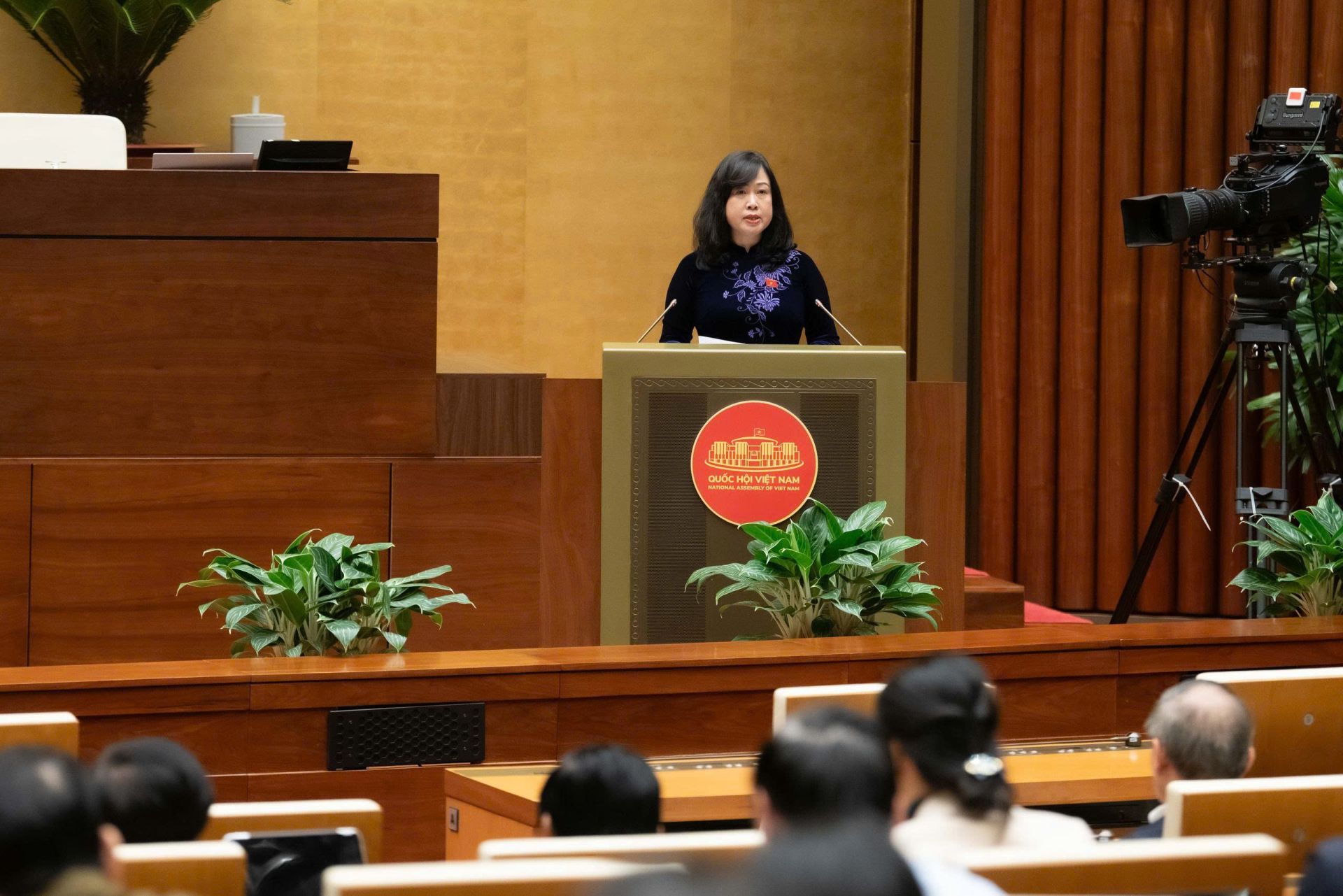 Bộ trưởng Bộ Y tế Đào Hồng Lan trình bày tóm tắt báo cáo tiếp thu, giải trình, chỉnh lý dự thảo luật