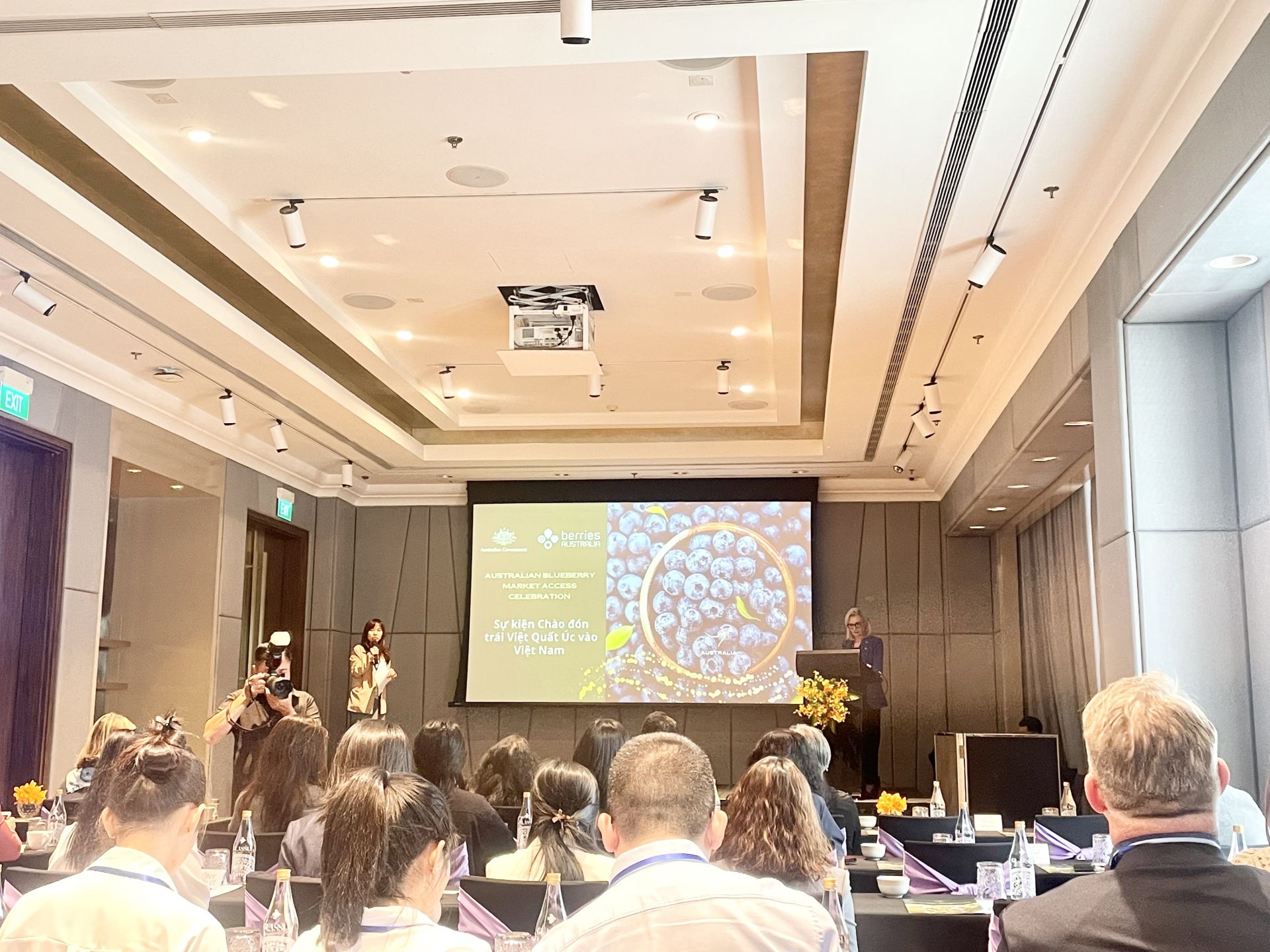 Việt Quất Australia chính thức có mặt tại thị trường Việt Nam