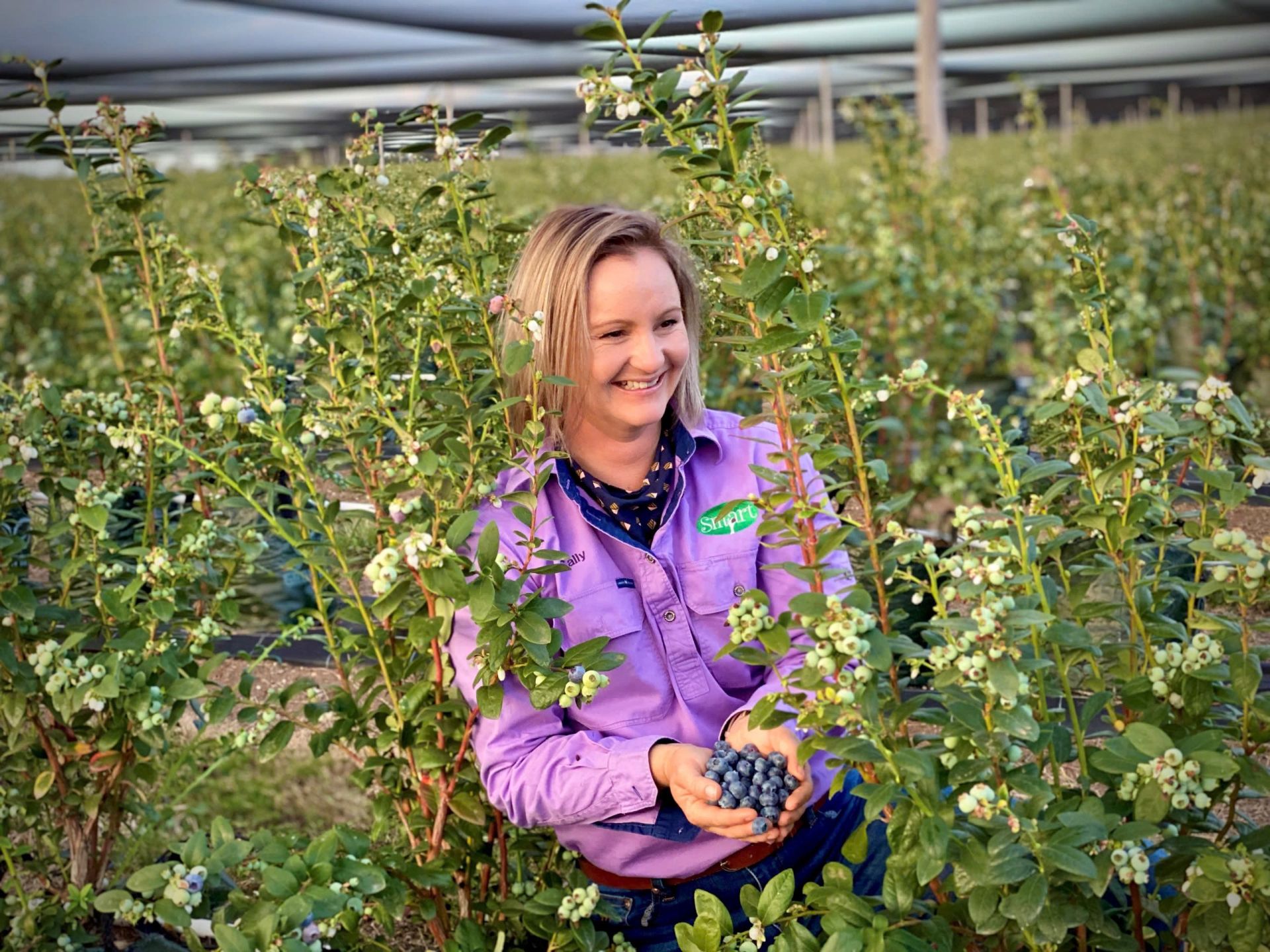 Sự kiện chào đón trái việt quất Australia tại TP. Hồ Chí Minh hôm nay đánh dấu thêm một bước tiến quan trọng trong việc tăng cường quan hệ hợp tác nông nghiệp giữa Australia và Việt Nam. Sự kiện chào đón trái việt quất Australia tại TP. Hồ Chí Minh hôm nay đánh dấu thêm một bước tiến quan trọng trong việc tăng cường quan hệ hợp tác nông nghiệp giữa Australia và Việt Nam.