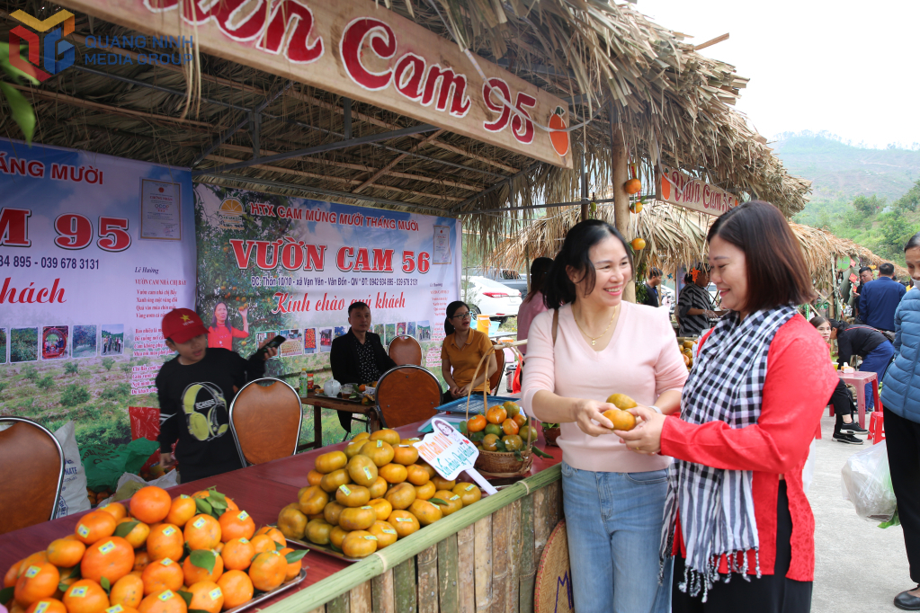 Lễ hội cam Vân Đồn sẽ diễn ra vào ngày 13-14/12/2025