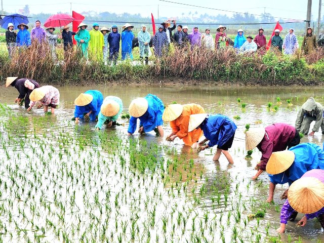 Đà Nẵng: Lễ hội xuống đồng Hội An Đông mang thương hiệu du lịch xanh