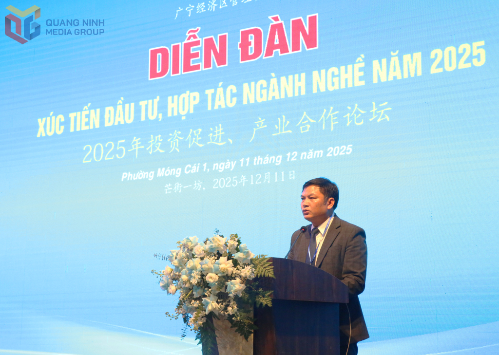 Đại biểu tham luận về các vấn đề được quan tâm. Đại biểu tham luận về các vấn đề được quan tâm.