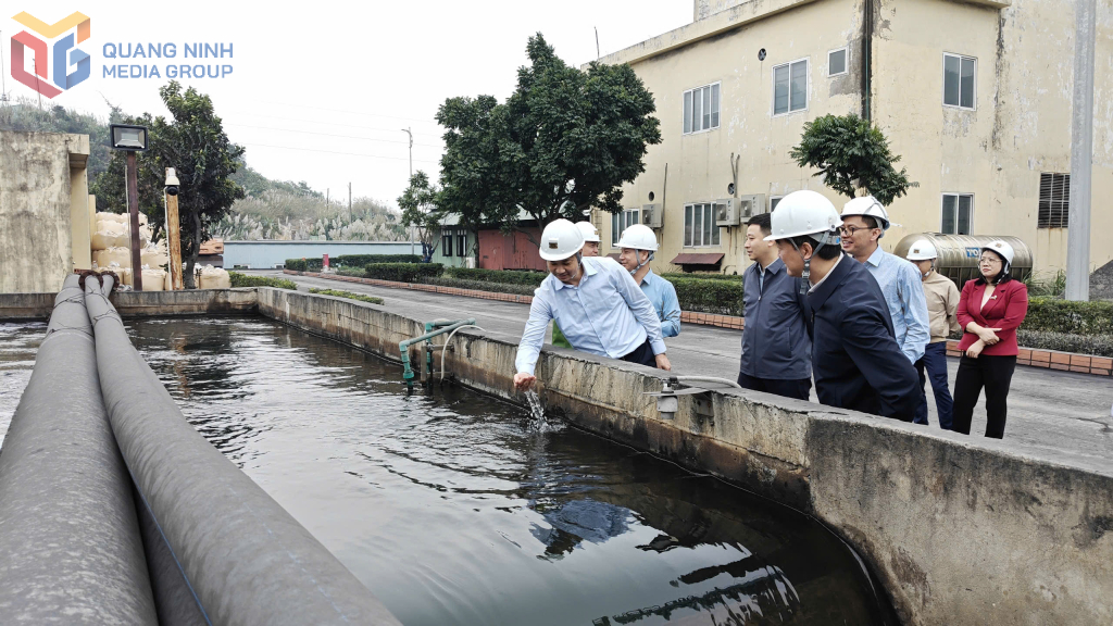Phó Chủ tịch UBND tỉnh Quảng Ninh trực tiếp kiểm tra công tác xử lý nước thải mỏ tại khai trường Công ty CP than Hà Lầm. Phó Chủ tịch UBND tỉnh Quảng Ninh trực tiếp kiểm tra công tác xử lý nước thải mỏ tại khai trường Công ty CP than Hà Lầm.