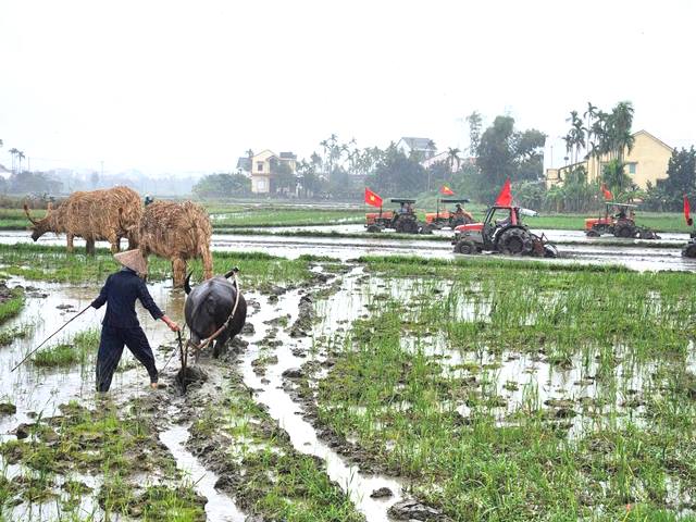Tất cả hứa hẹn sẽ mang đến một ngày hội ý nghĩa, thấm tình quê hương và mở ra một năm mới với những vụ mùa xanh tốt, trù phú tại làng rau An Mỹ, phường Hội An Đông. Tất cả hứa hẹn sẽ mang đến một ngày hội ý nghĩa, thấm tình quê hương và mở ra một năm mới với những vụ mùa xanh tốt, trù phú tại làng rau An Mỹ, phường Hội An Đông.