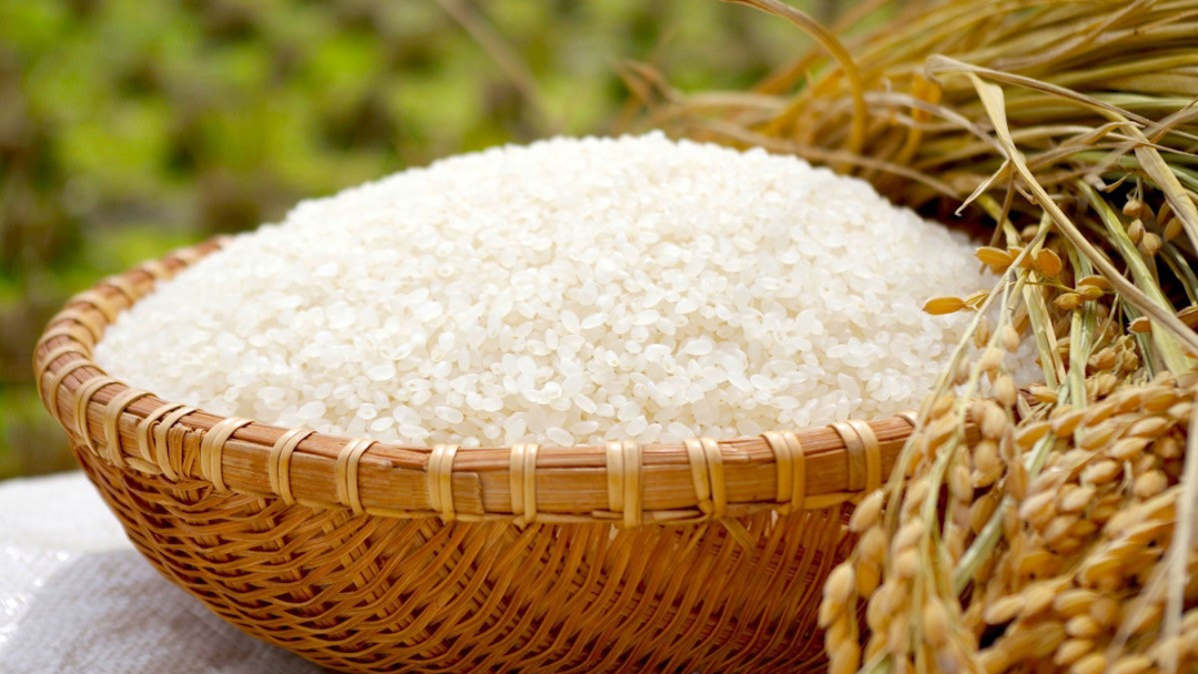 Giá lúa gạo hôm nay 12/12: Gạo nguyên liệu xuất khẩu giảm nhẹ. (Ảnh minh họa)