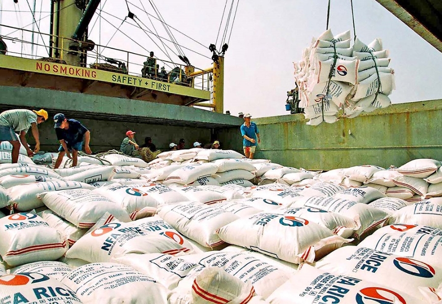 Xuất khẩu gạo 2026: Cơ hội phục hồi từ FTA và chuẩn hóa vùng nguyên liệu chất lượng cao
